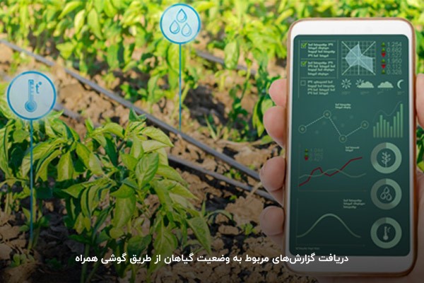 کنترل وضعیت گیاهان و سلامت آنها بهکمک سنسورهای مختلف سیستم آبیاری هوشمند